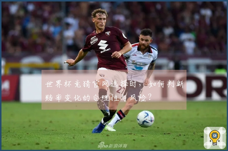 世界杯竞猜官网选择时，如何判断赔率变化的合理性与风险？