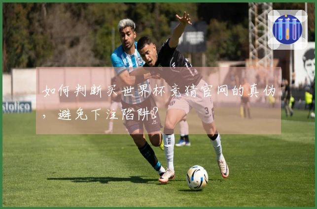 如何判断买世界杯竞猜官网的真伪，避免下注陷阱？