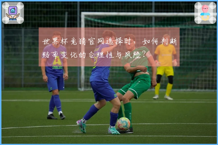 世界杯竞猜官网选择时，如何判断赔率变化的合理性与风险？